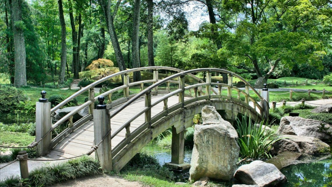 Comment aménager son jardin?