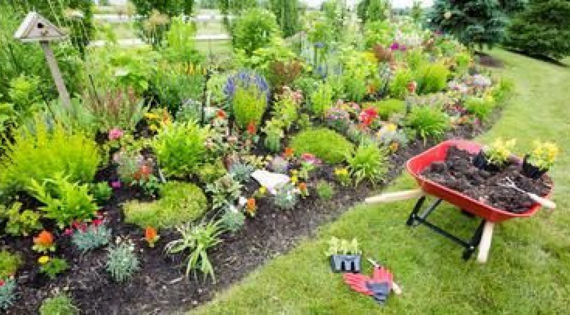 AMÉNAGEMENT DU JARDIN DE LÉGUMES : MEILLEURS SECRETS DE CONCEPTION