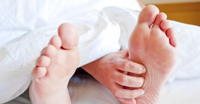 Comment se débarrasser des puces dans le lit ? Comment se débarrasser des puces dans le lit ?